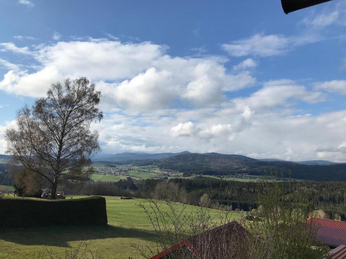 Ferienwohnungen Lusenblick Freyung Exteriör bild